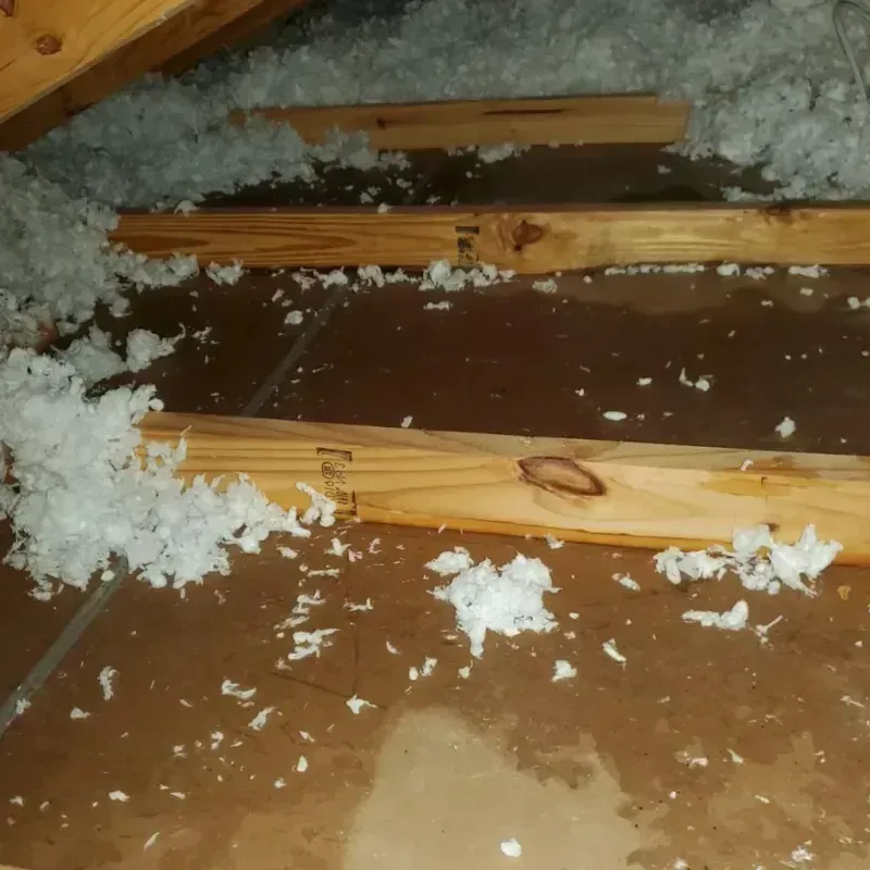 Attic Water Damage in Garden City, ID