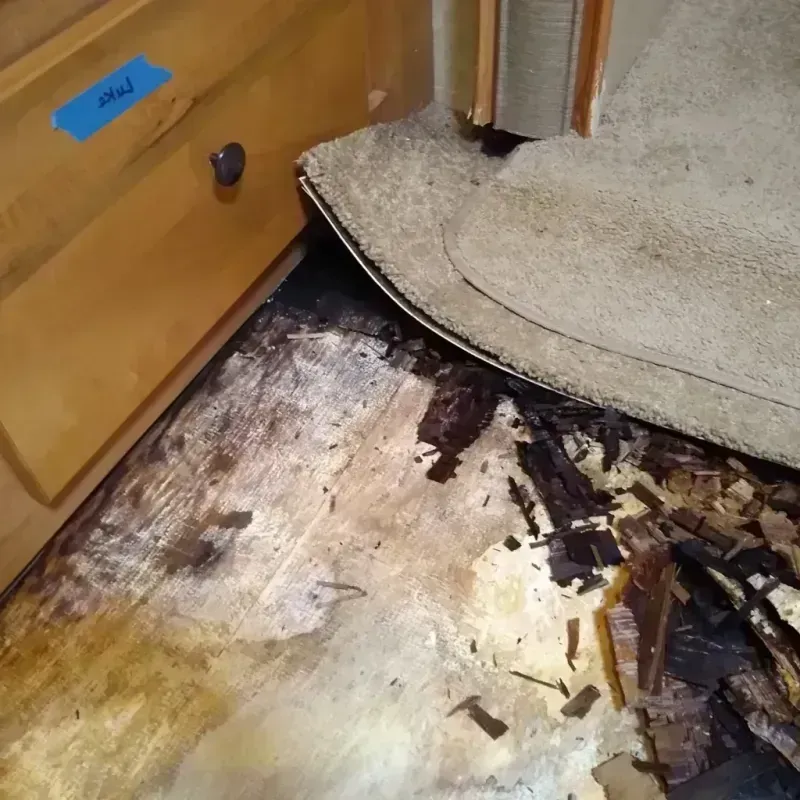 Wood Floor Water Damage in Garden City, ID